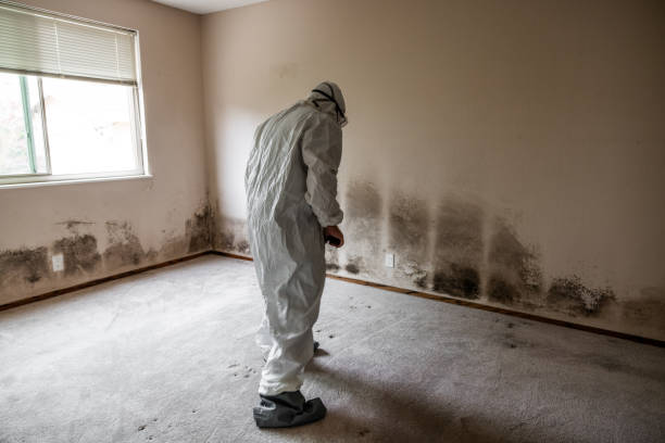 Mold Removal for HVAC Installations in Oliver Springs, TN